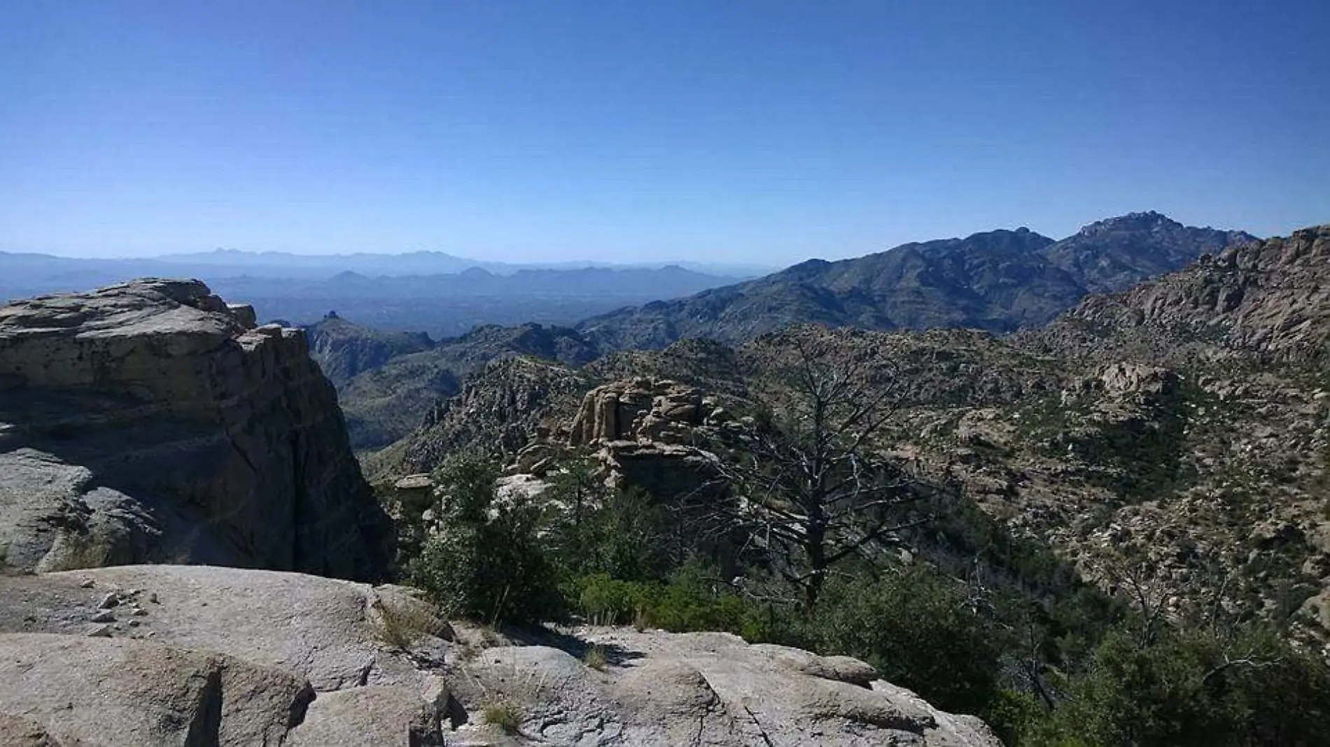 Monte Lemmon